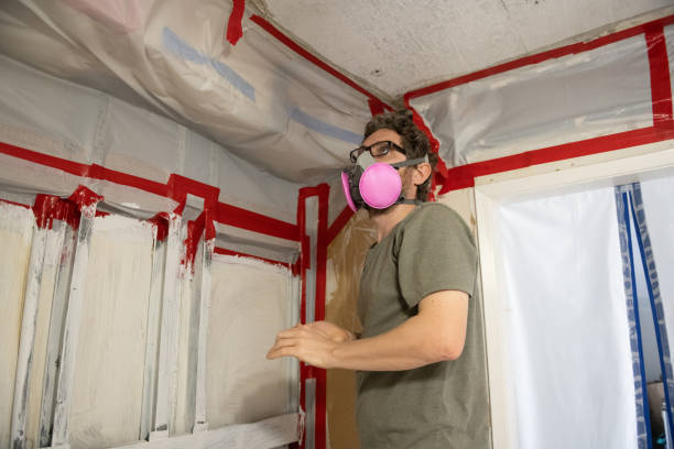 Best Attic Mold Removal  in Falfurrias, TX